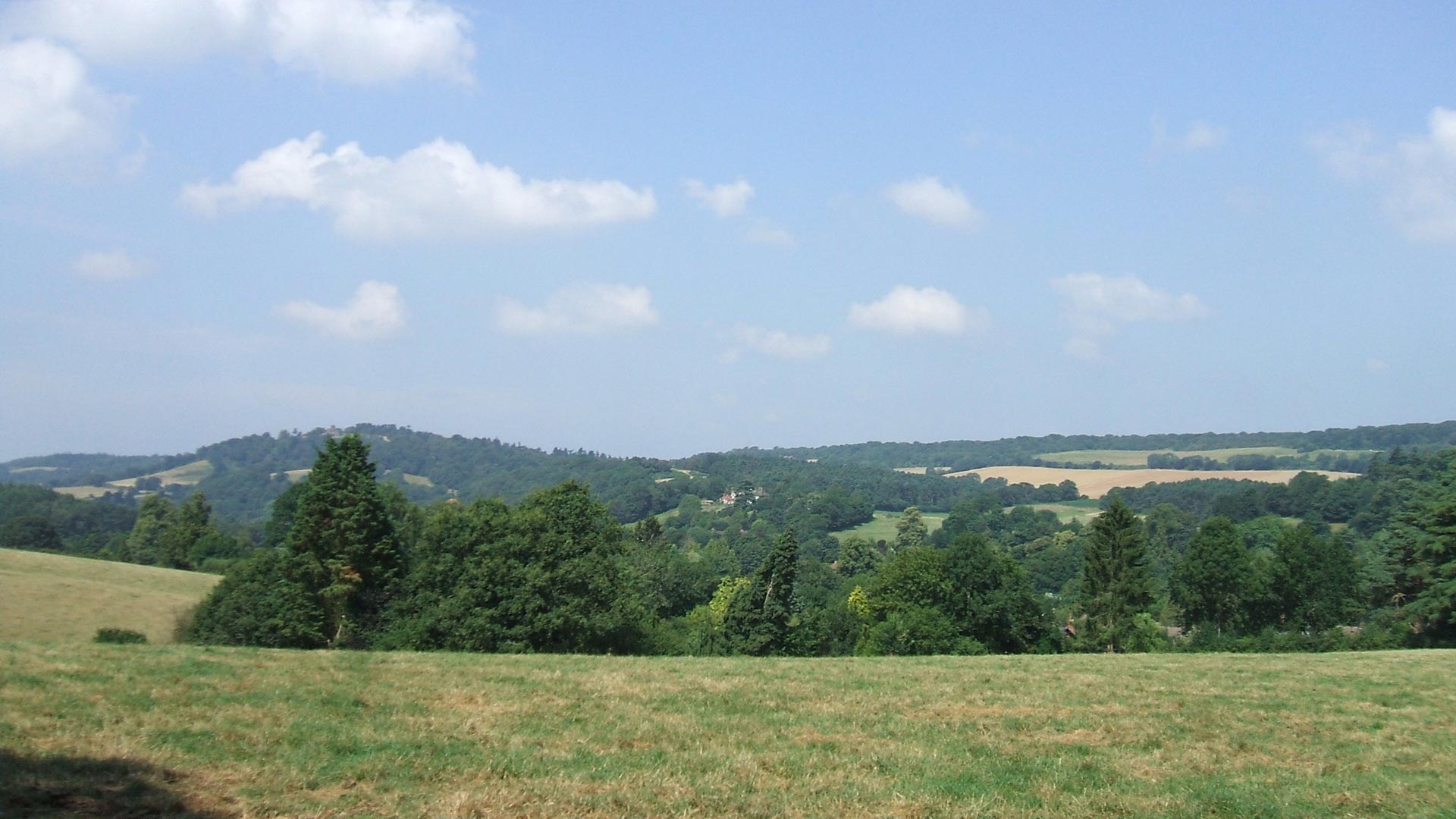 Surrey Hills Society